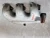2008-2010 Dodge Grand Caravan Left Used Exhaust Manifold 4781041AC