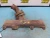 1968 Ford Fairlane Left 390 engine Used Exhaust Manifold
