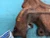 1979 Ford F-150 Left 400 engine Used Exhaust Manifold