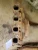 1981-1982 Ford Escort CAST IRON Used Exhaust Manifold E1EE-9430-BC