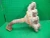 1981-1982 Ford Escort Header CAST IRON Used Exhaust Manifold
