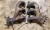 1989-1992 Ford / Mercury Thunderbird / Cougar Used Exhaust Manifold
