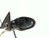 2005 Nissan Altima Power Non-Heated Used OEM Right Door Mirror