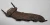 2003 Ford Expedition 5.4L Right Used Exhaust Manifold