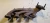 2005-2009 Ford Mustang Left Used Exhaust Manifold RF-7L1E-9431-AA