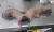 2007-2010 Ford Mondeo / S-Max 2.0L Used Exhaust Manifold