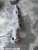 2018-2021 Ford F-150 Left Used OEM Exhaust Manifold