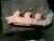 1970-1978 GMC 1500 Pickup Right 396 engine 402 engine Used Exhaust Manifold