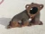 2008 GMC Acadia Left Used OEM Exhaust Manifold