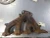 2010-2012 GMC Terrain 2.4L Used Exhaust Manifold 12643496
