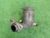 2012 Honda CR-Z Used Exhaust Manifold