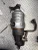 Honda CRV Used Exhaust Manifold