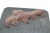 2014 Hyundai ix35 2.0L Diesel 4WD Used Exhaust Manifold