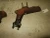 1990-1994 Jaguar XJ / XJ6 Front Used Exhaust Manifold