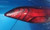 2019-2021 Hyundai Tucson LH Driver Quarter Panel Mounted Tail Light Lamp OEM used OEM tail light assembly