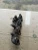 2013 Kia Ceed Diesel Used Exhaust Manifold