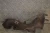 Land Rover Range Rover 2.7L 4WD Used Exhaust Manifold