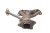 2012 Lexus CT200H 1.8L Hybrid Used Exhaust Manifold