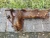 Lexus IS220D Used Exhaust Manifold