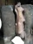 1990-1991 Mazda 929 Right DOHC Used Exhaust Manifold