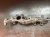 2002-2007 Mazda Mazda 6 / 2 2.0L Used OEM Exhaust Manifold