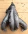 Mazda 323 Used Exhaust Manifold