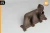 1995-1999 Mercedes-Benz E300D Front Diesel Used OEM Exhaust Manifold