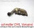 Mercedes-Benz SL600 / R129 Right Used Exhaust Manifold