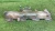 2003 Nissan Patrol 3.0L Used Exhaust Manifold