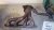 2011 Toyota Prius 1.8L Used Exhaust Manifold