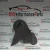 Audi / Volkswagen A3 / Golf 1.6L Used OEM Timing Cover