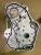 2004-2014 Chevrolet Malibu 2.4L Front Used Timing Cover