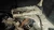 Chevrolet Cobalt 2.2L Used Valve Cover