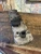 2003-2007 Dodge Ram 2500 5.9L Lower Used OEM Valve Cover 3971214