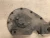 1931 Ford Model A Front Used OEM Timing Cover