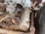 1968 Ford F-350 Left Used OEM Valve Cover