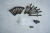 1999-2004 Ford Mustang 4.6L Used Timing Cover
