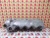 2007-2010 Ford Mustang Right Used OEM Valve Cover 7L1Z-6582-A