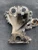 2011 Ford Focus 1.0L Used Timing Cover