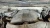 2011-2014 Ford F-150 3.5L Used Engine Cover