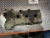 2012 Ford F-150 Used Valve Cover