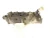 2012 Ford F-350 / Super Duty Left 350 engine Used Valve Cover