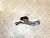 2019 Ford Transit 1.5L Used Timing Cover 9815884380
