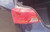17-20 Chevrolet Impala LH Driver Tail Light Lamp Quarter Mount OEM OEM used OEM tail light assembly