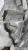 1988-1991 Honda Prelude Used OEM Timing Cover