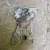 2008-2012 Honda Element / Accord 2.4L K24 Used Timing Cover