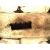 2004-2010 Hyundai Tucson 2.0L 4WD Used Valve Cover