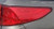 2018-2024 Honda Odyssey RH Passenger Quarter Panel Mounted Tail Light Lamp OEM used OEM tail light assembly