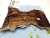 2011-2016 Kia Optima FWD Used Timing Cover