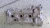 2007-2015 Lexus ES350 3.5L Right Used OEM Valve Cover 11201-0P020